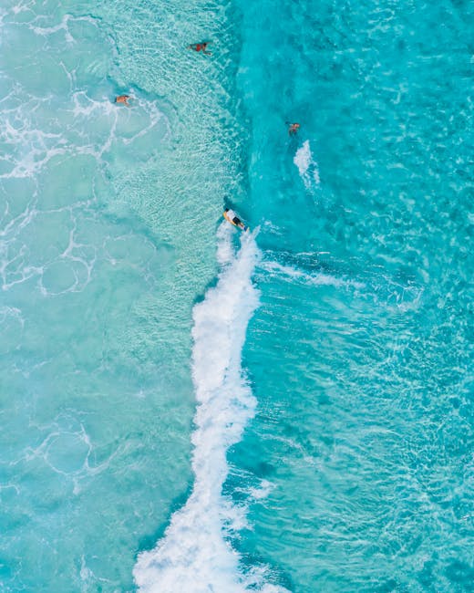 9 Surfer SEO Alternatives for Agencies That Need One-Click WordPress Publishing 9 Dashboard scene comparing surfer seo alternatives with one-click WordPress publishing for agencies