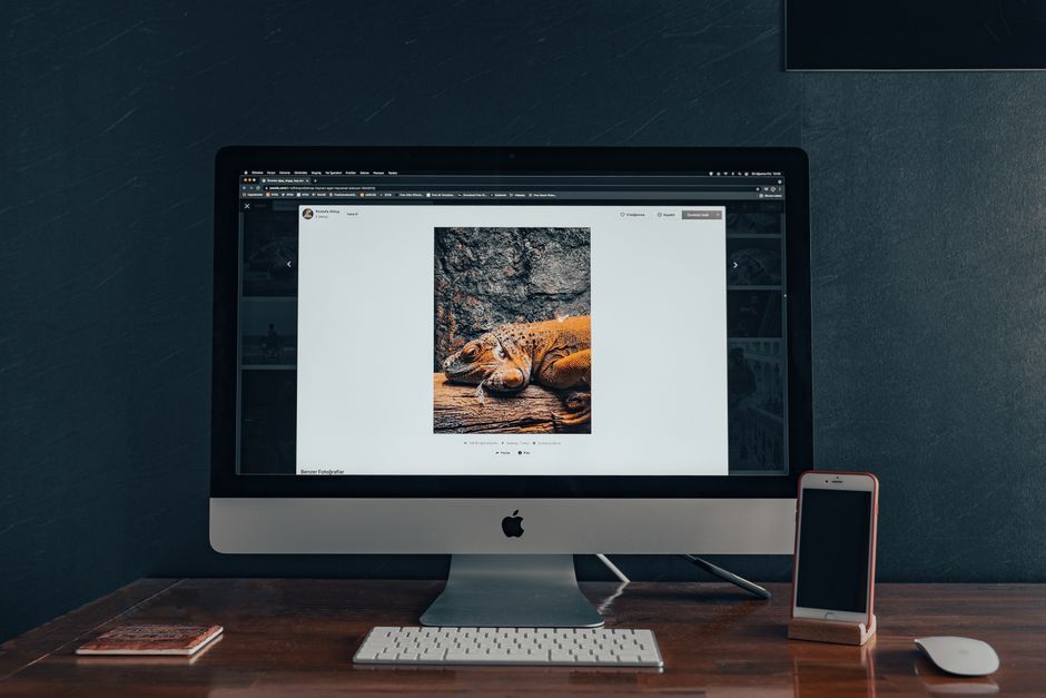 WordPress Site Icon setup WordPress Site Icon setup using an icon generator export